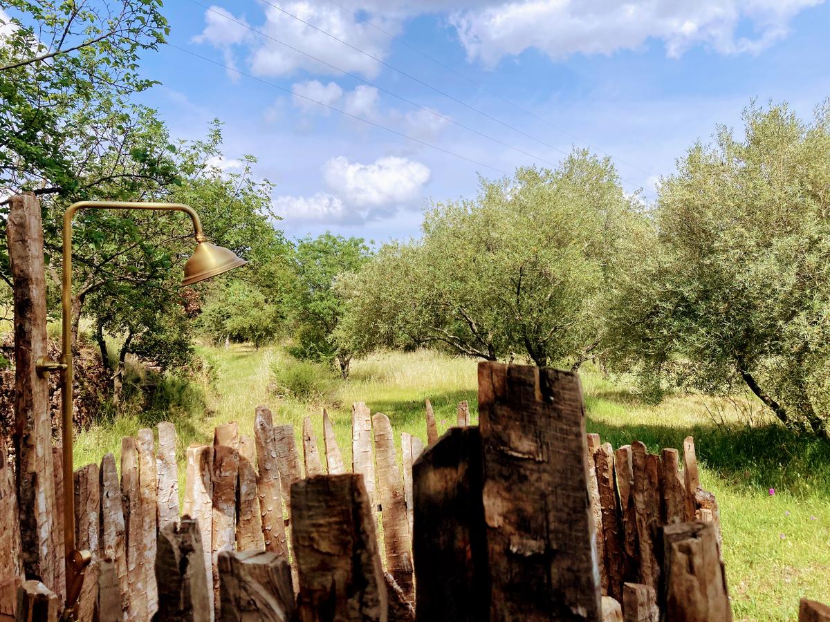 Photo 6/6 — Gîte insolite « Le nid, la chambre des étoiles · Le Puech, Occitanie » à Le Puech Hérault