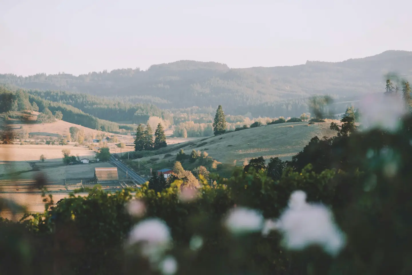 Au service <i>des territoires</i>