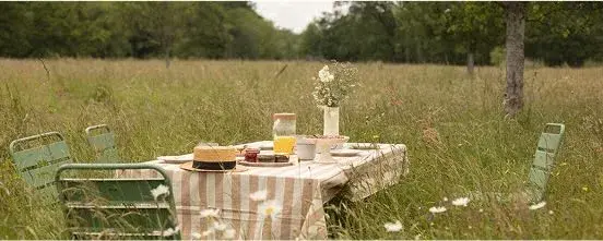 GreenGo - Table à manger dans un pré en friche