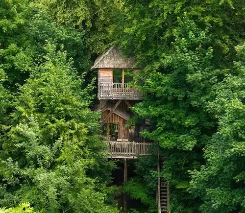 Hûte sur pilotis cachée au milieu des arbres