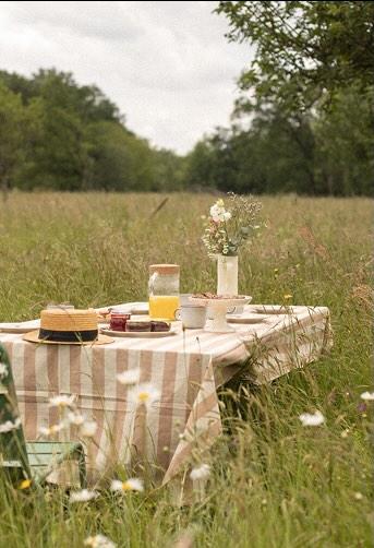 GreenGo - Table à manger dans un pré en friche