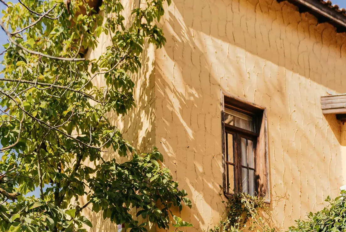 GreenGo - Façade de maison en stuc jaune avec fenêtre en bois et végétation, architecture rustique ensoleillée.