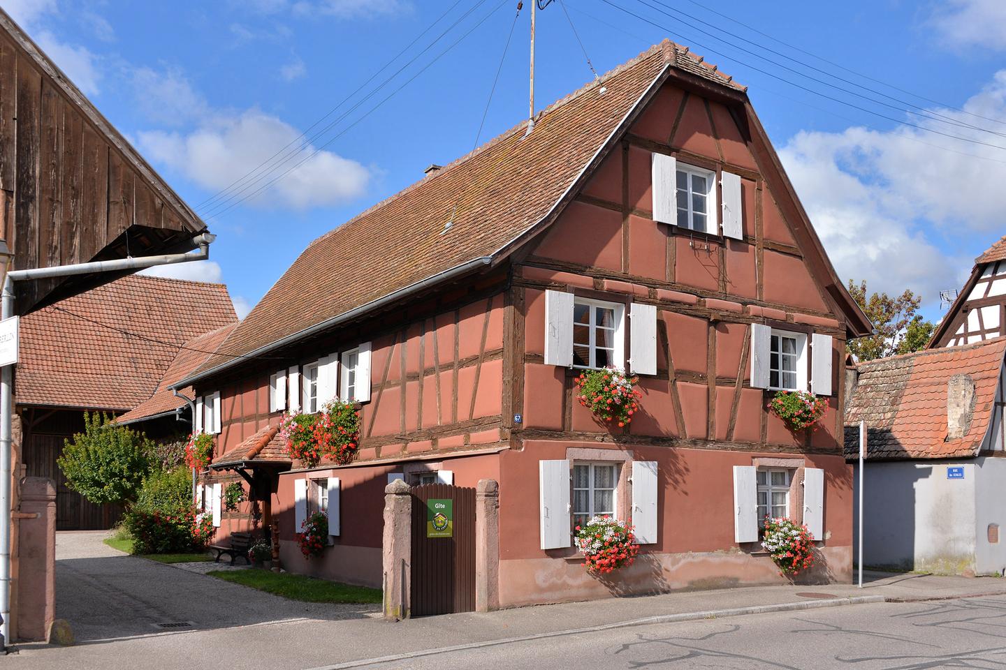Hôte GreenGo: Gîte des Tournesols en Alsace - Image 23