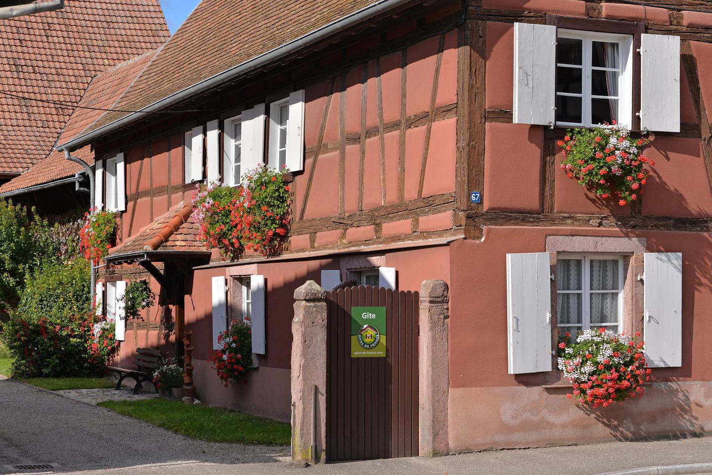 Hôte GreenGo: Gîte des Tournesols en Alsace - Image 24