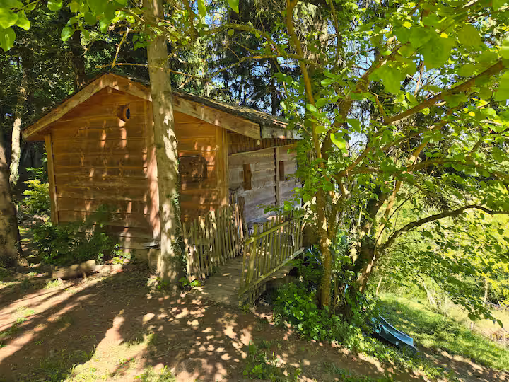 La cabane aux sapins