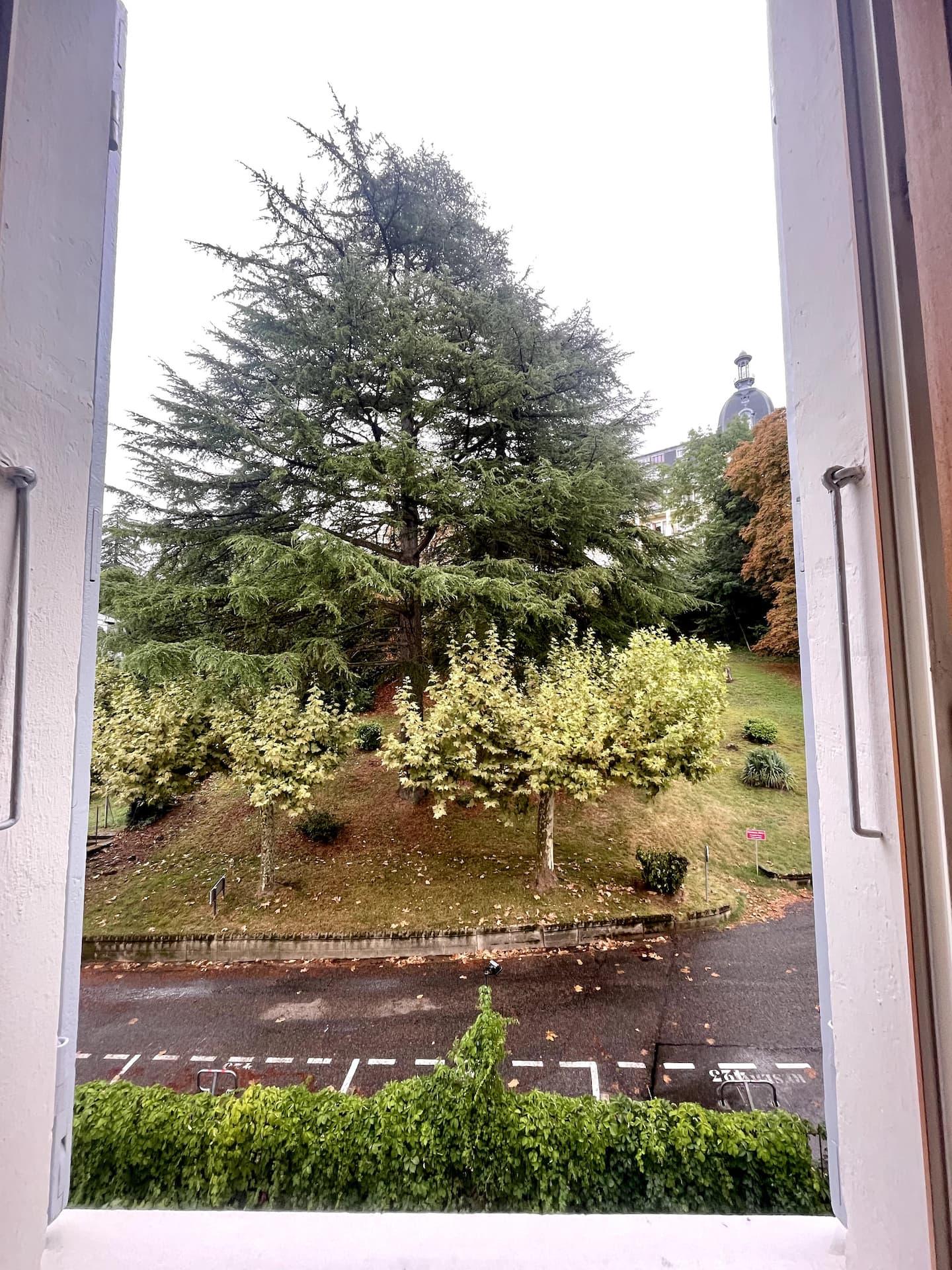 Carte cadeau GreenGo