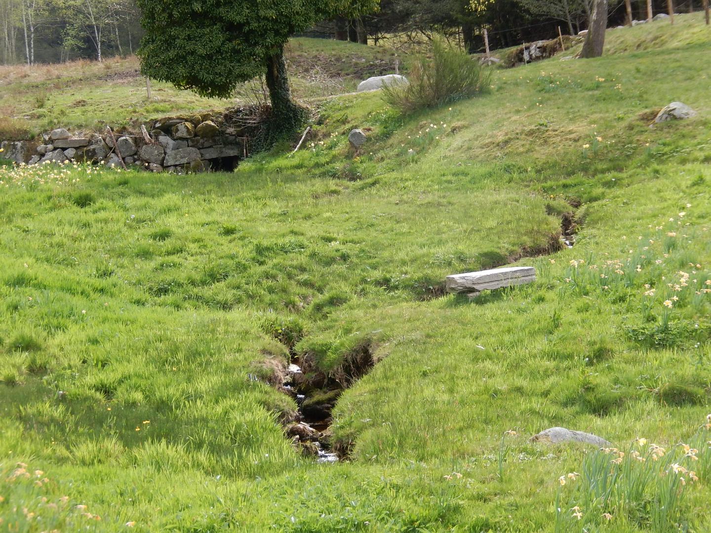 Hôte GreenGo: Gite Nature à deux pas de Gerardmer. Ânes de bât et vaches Highlands - Image 11