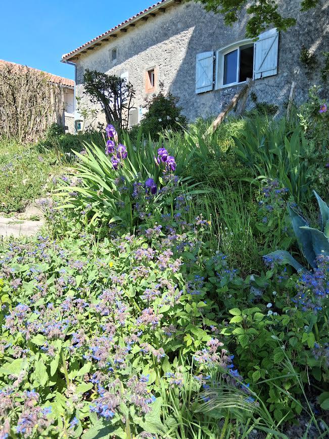 GreenGo location vacances écoresponsables