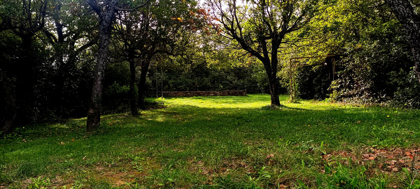 Carte cadeau GreenGo