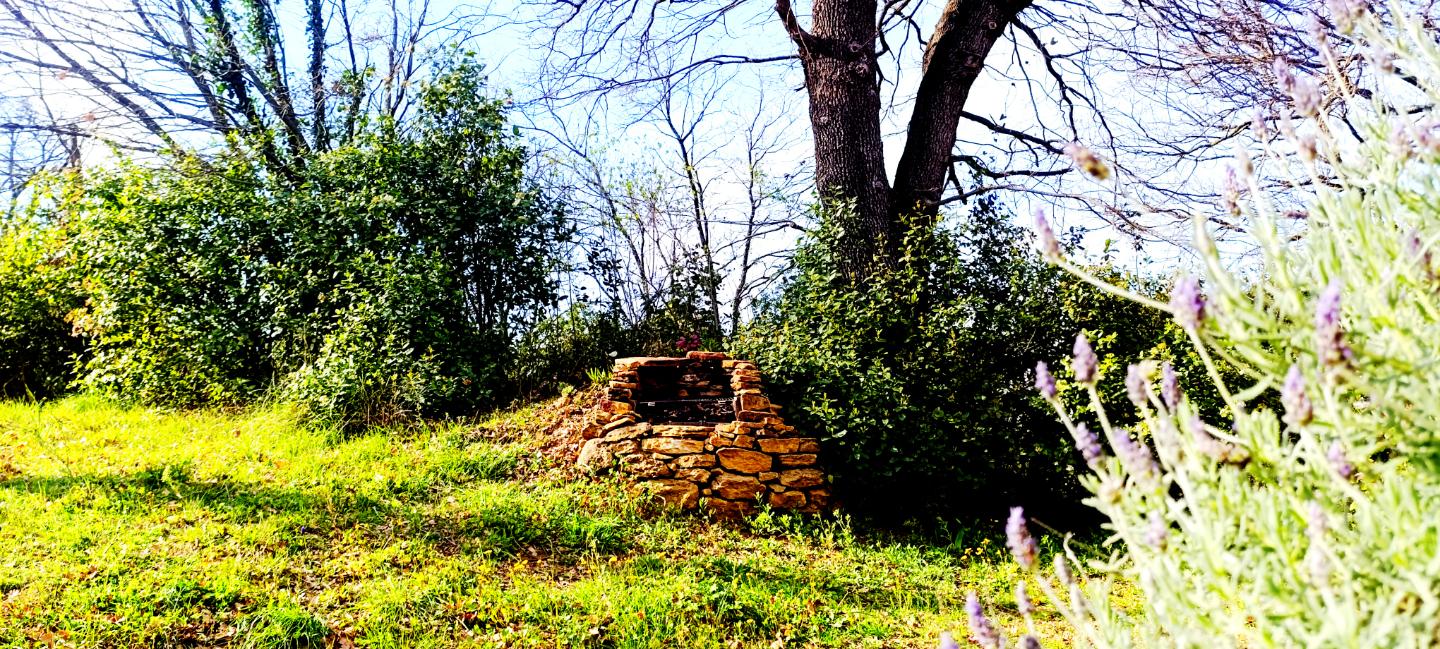 GreenGo location vacances écoresponsables