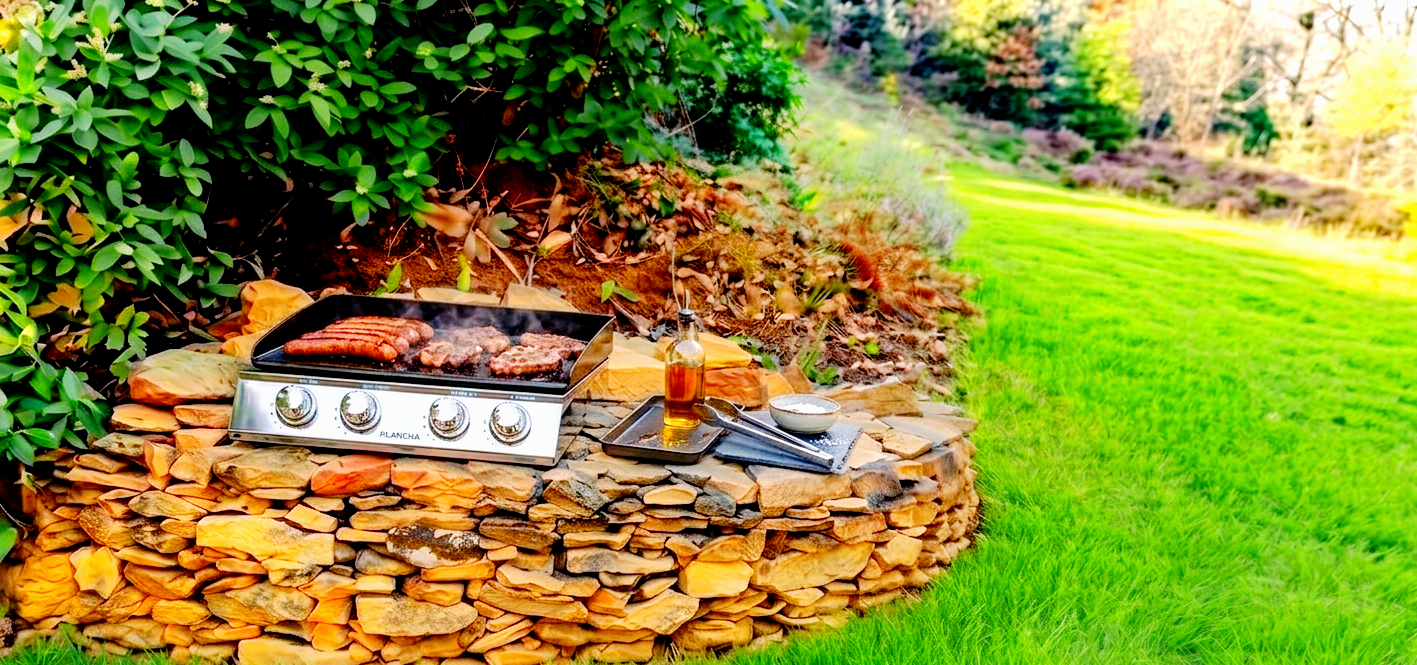 Location Vaucluse À la campagne