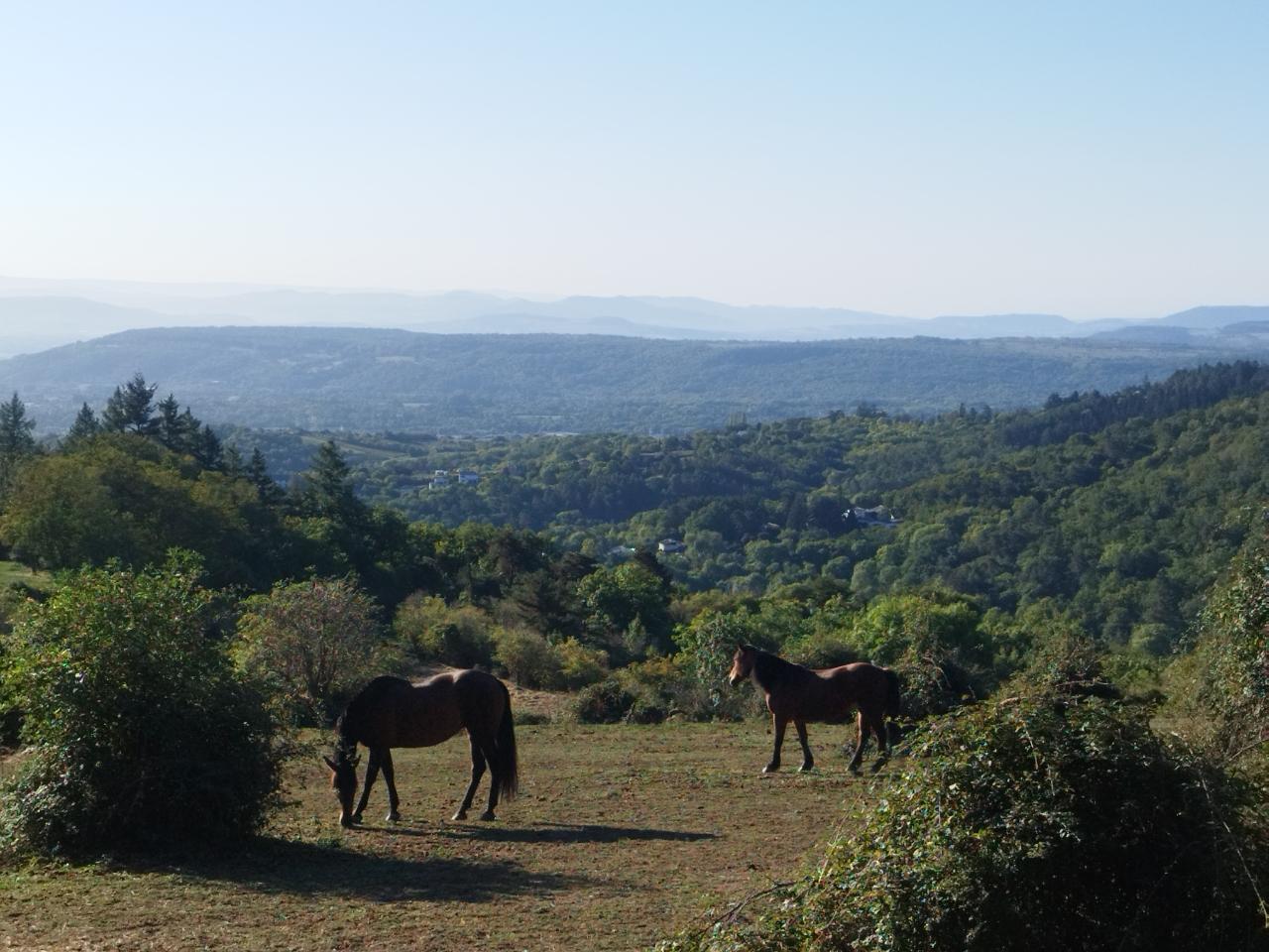 Hôte GreenGo: Le Bosquet des Dômes - Panorama des Puys à Cheval - Image 31