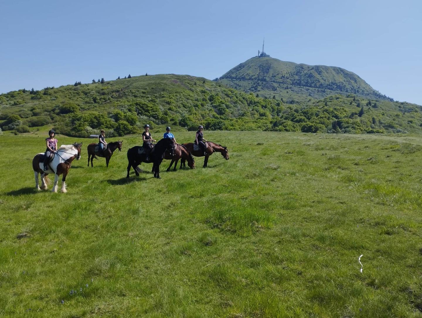 Hôte GreenGo: Le Bosquet des Dômes - Panorama des Puys à Cheval - Image 32