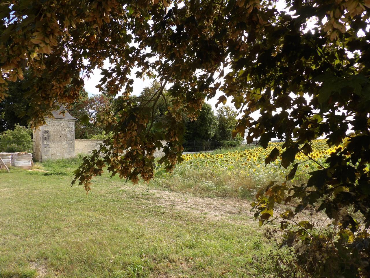 GreenGo Logis de Saint seurin