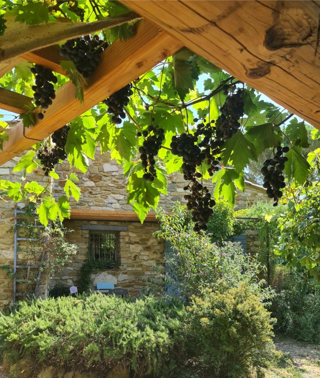 Hôte GreenGo: La bergerie des lavandes