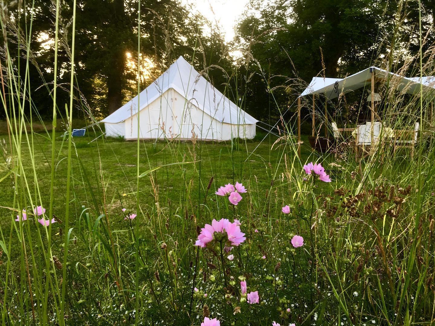 orderedImageAlt_accommodation_default
