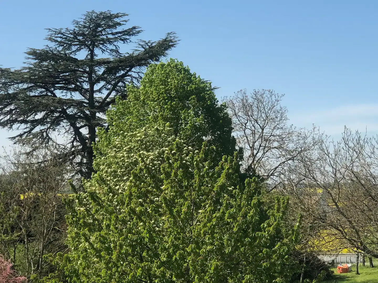 Hôte GreenGo: "Gîte Saint Michel"  jolie maison de village de Touraine - Image 18