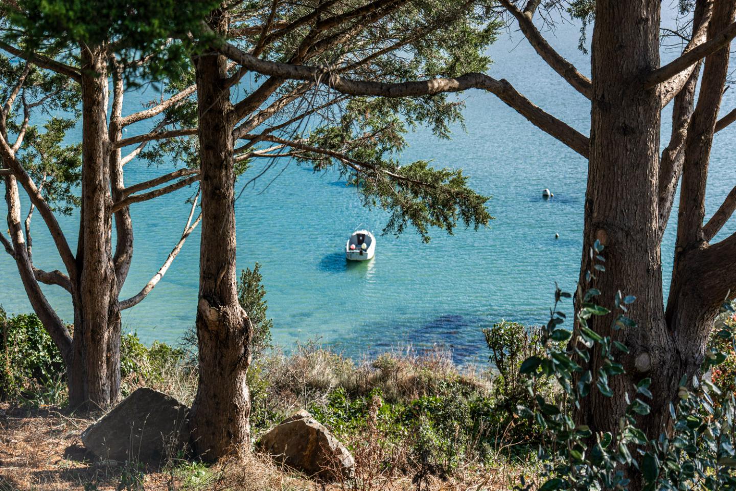 GreenGo location vacances écoresponsables