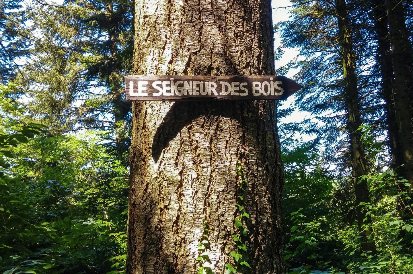 Hôte GreenGo: Le Seigneur des Bois - Image 9
