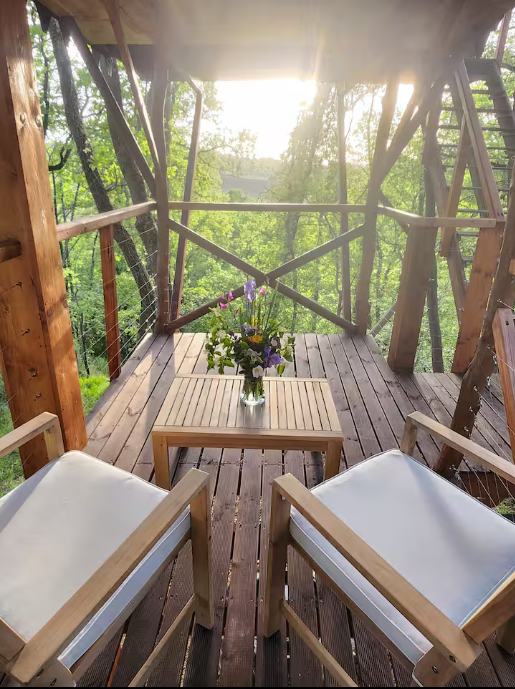 GreenGo La cabane entre les cimes