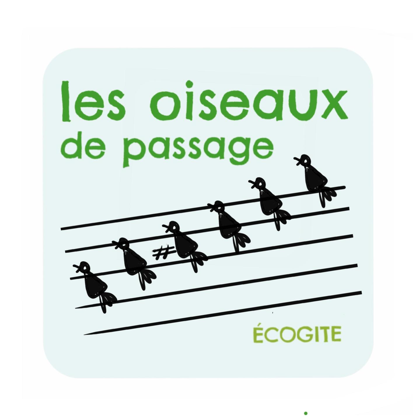 Hôte GreenGo: Les Oiseaux de passage - Image 19