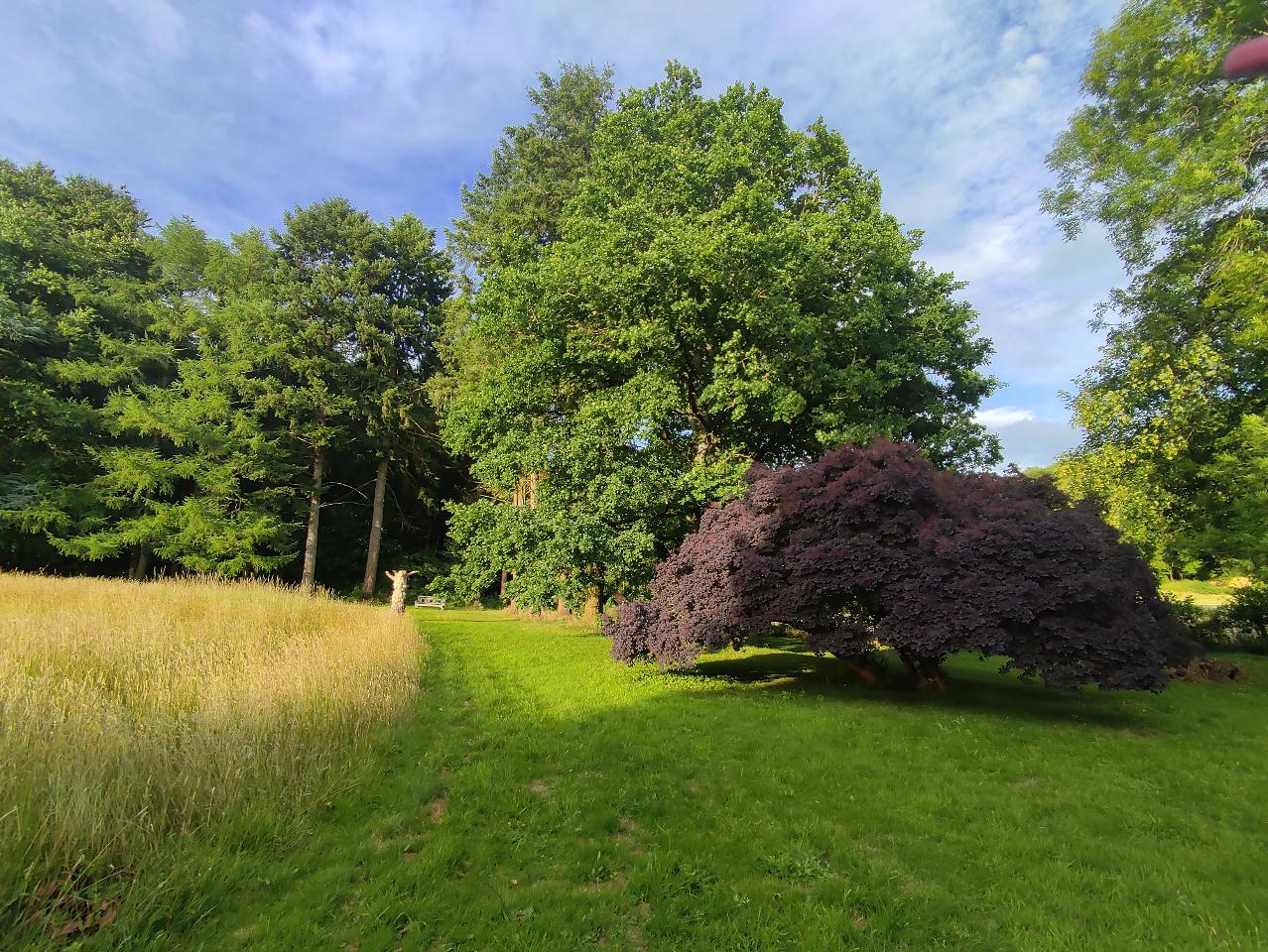 Hôte GreenGo: La maison de Delphine - Image 6