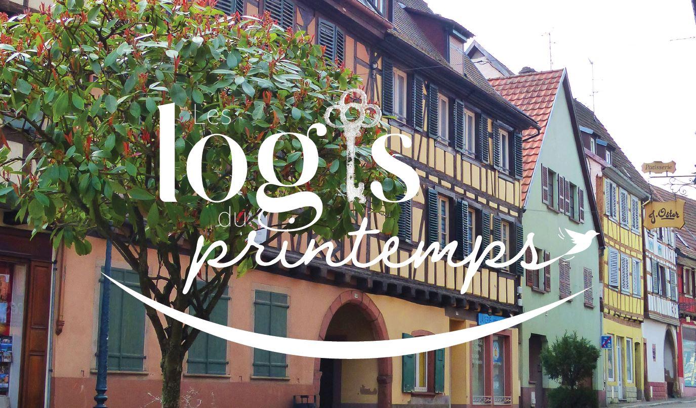 Hôte GreenGo: Gîte de charme authentique 4 étoiles confort haut de gamme sur la Route des Vins d'Alsace - Image 16
