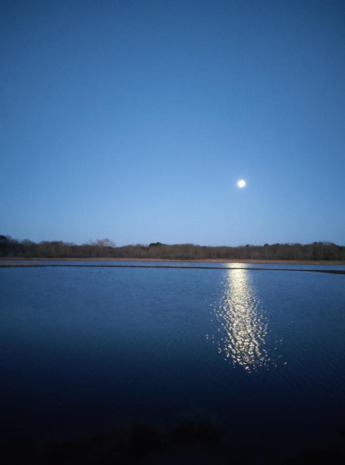 GreenGo Logement insolite Nouvelle-Aquitaine Évasion