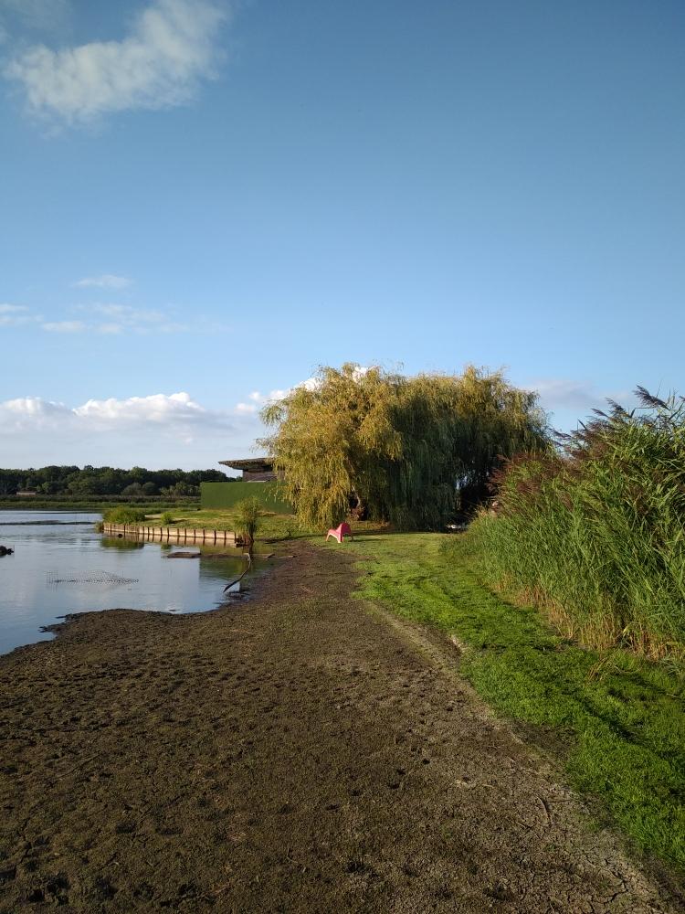 Hôte GreenGo: Une tonne d'émotions