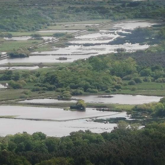 GreenGo Une tonne d'émotions