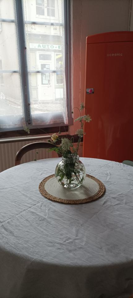 GreenGo location vacances écoresponsables