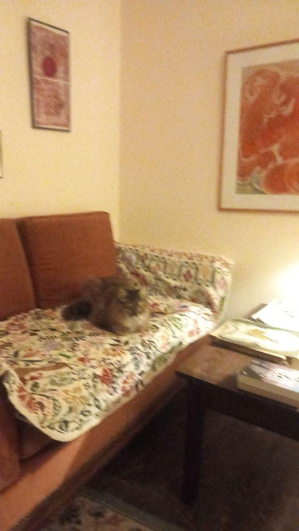 orderedImageAlt_accommodation_default