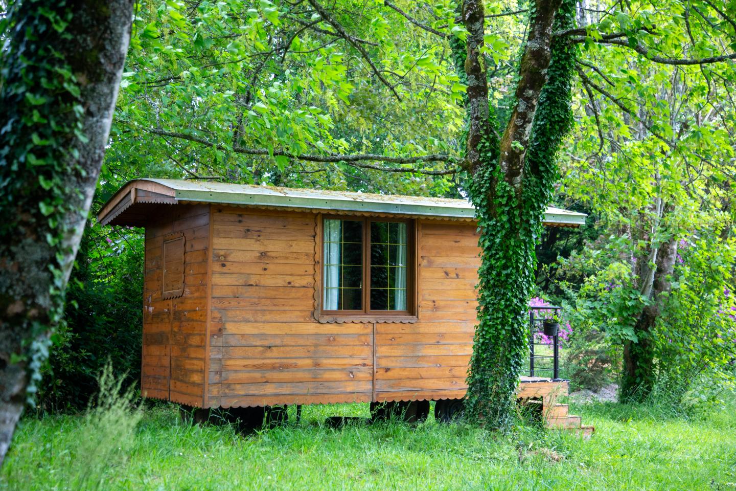 orderedImageAlt_accommodation_default