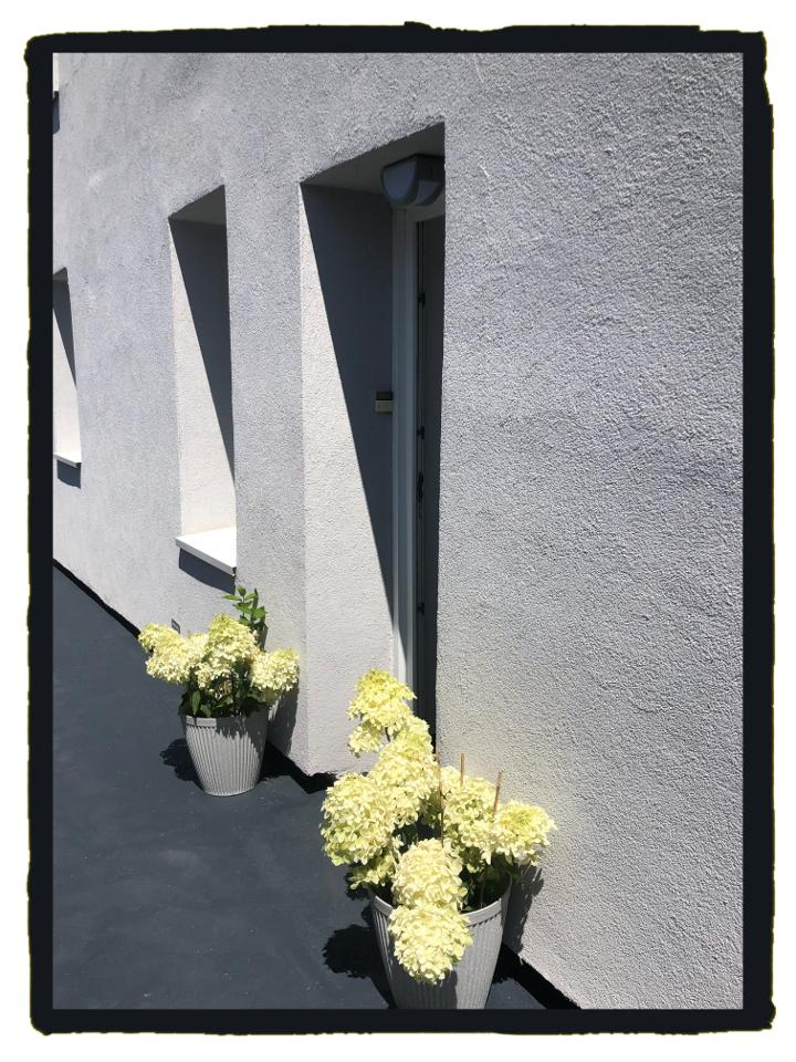 Location Seine-Maritime Entre amis