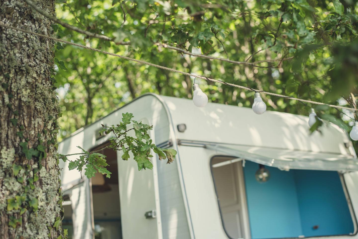 Logement GreenGo: Jolie caravane rénovée dans une ferme en permaculture - Image 13