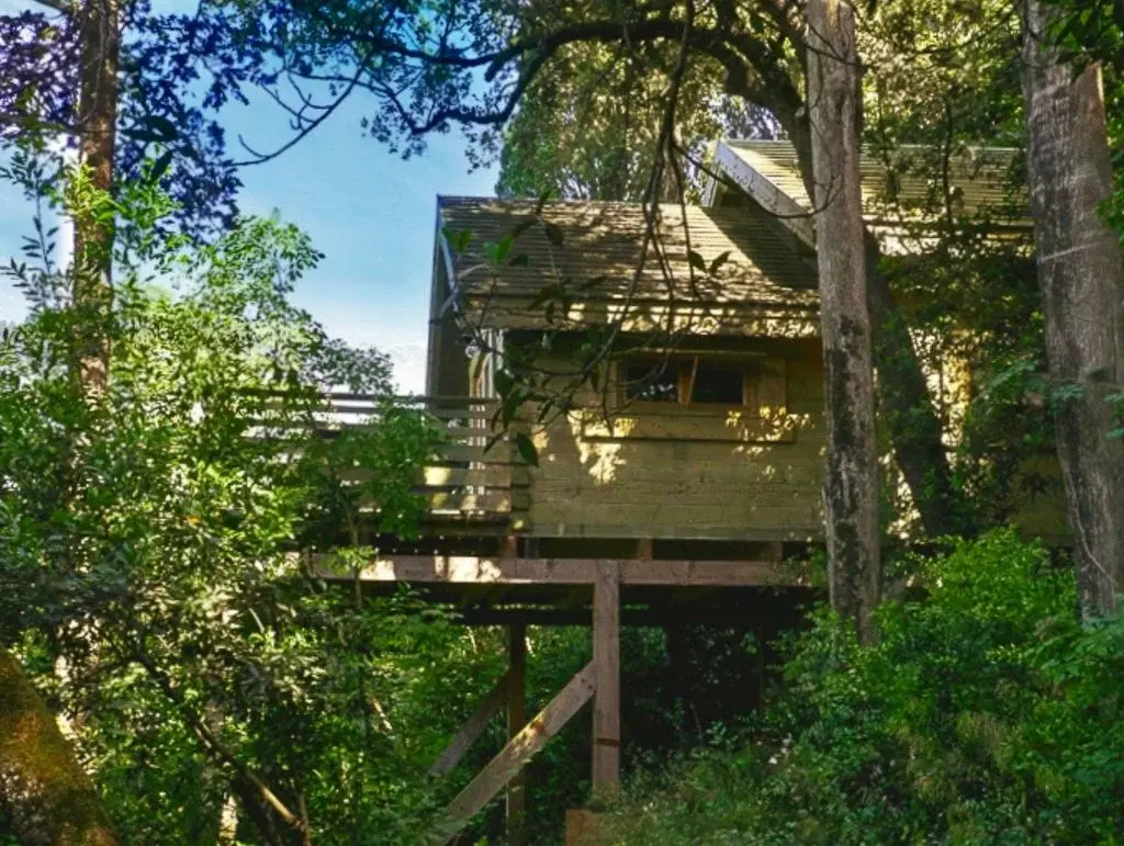 orderedImageAlt_accommodation_default