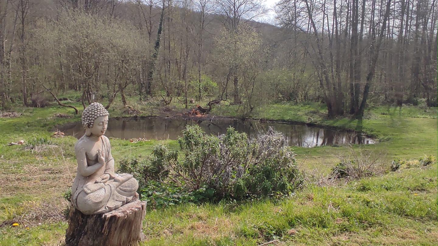 GreenGo location vacances écoresponsables