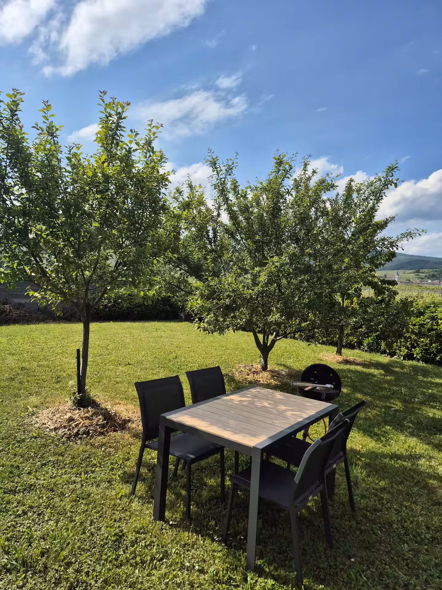 Hôte GreenGo: L'orée du vignoble - le nid