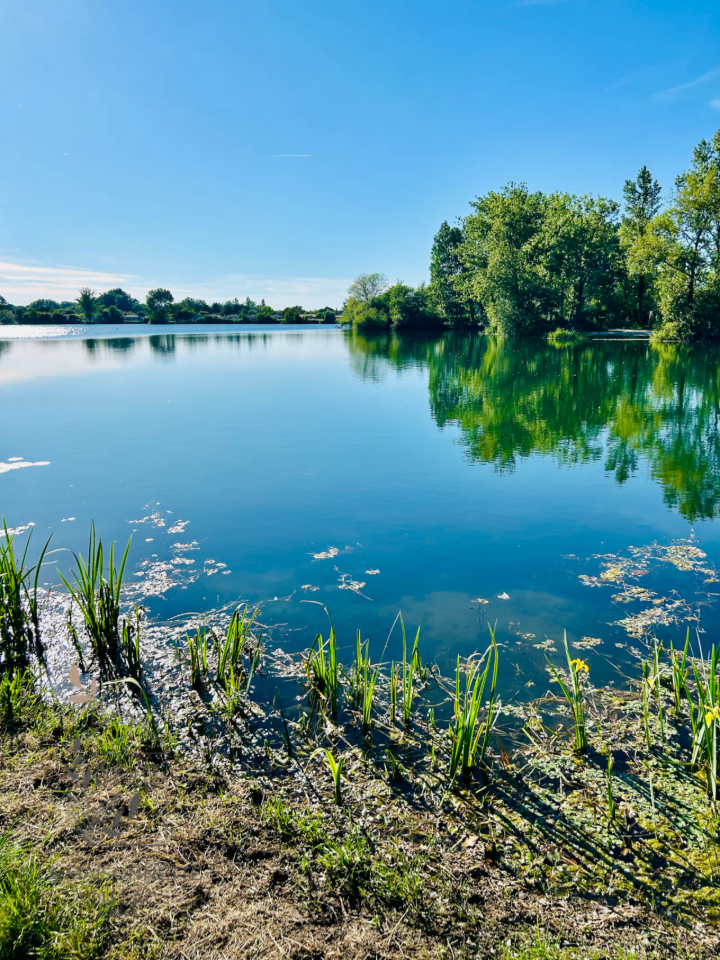 GreenGo La maisonnette du lac