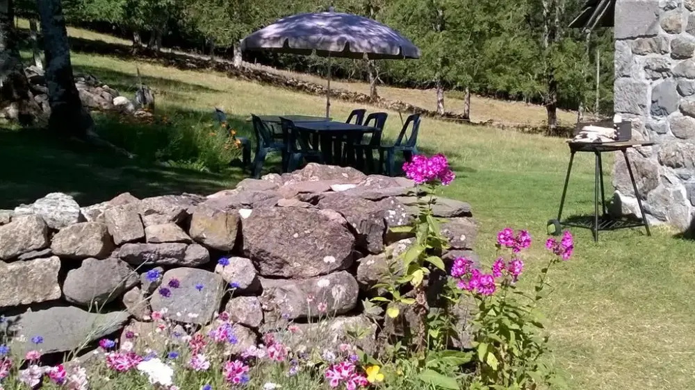 Carte cadeau GreenGo