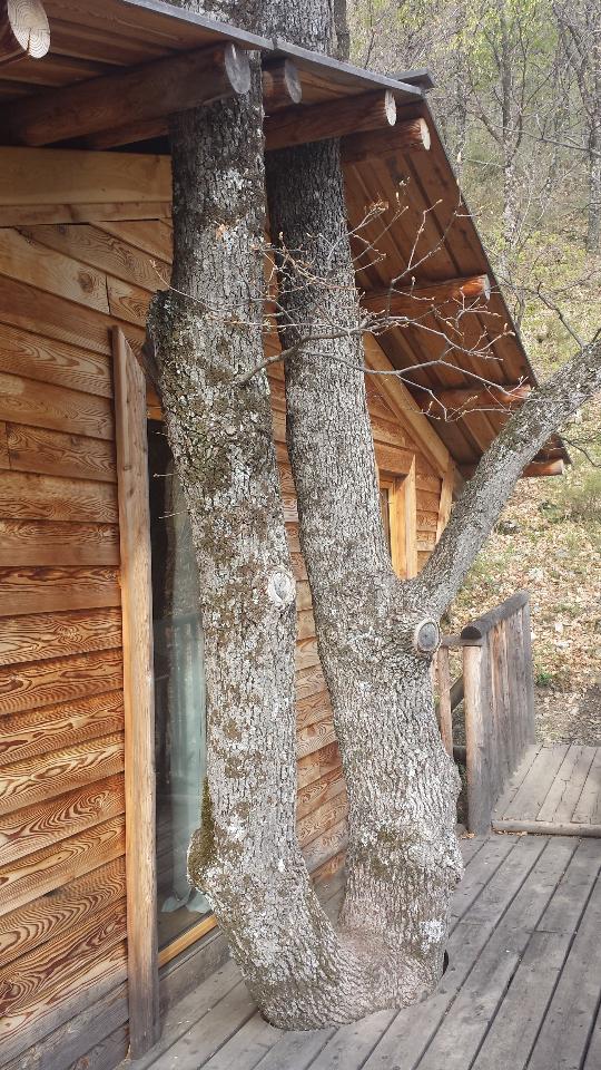 Hôte GreenGo: Les cabanes de la Bannette - A travers l'arbre - Image 9