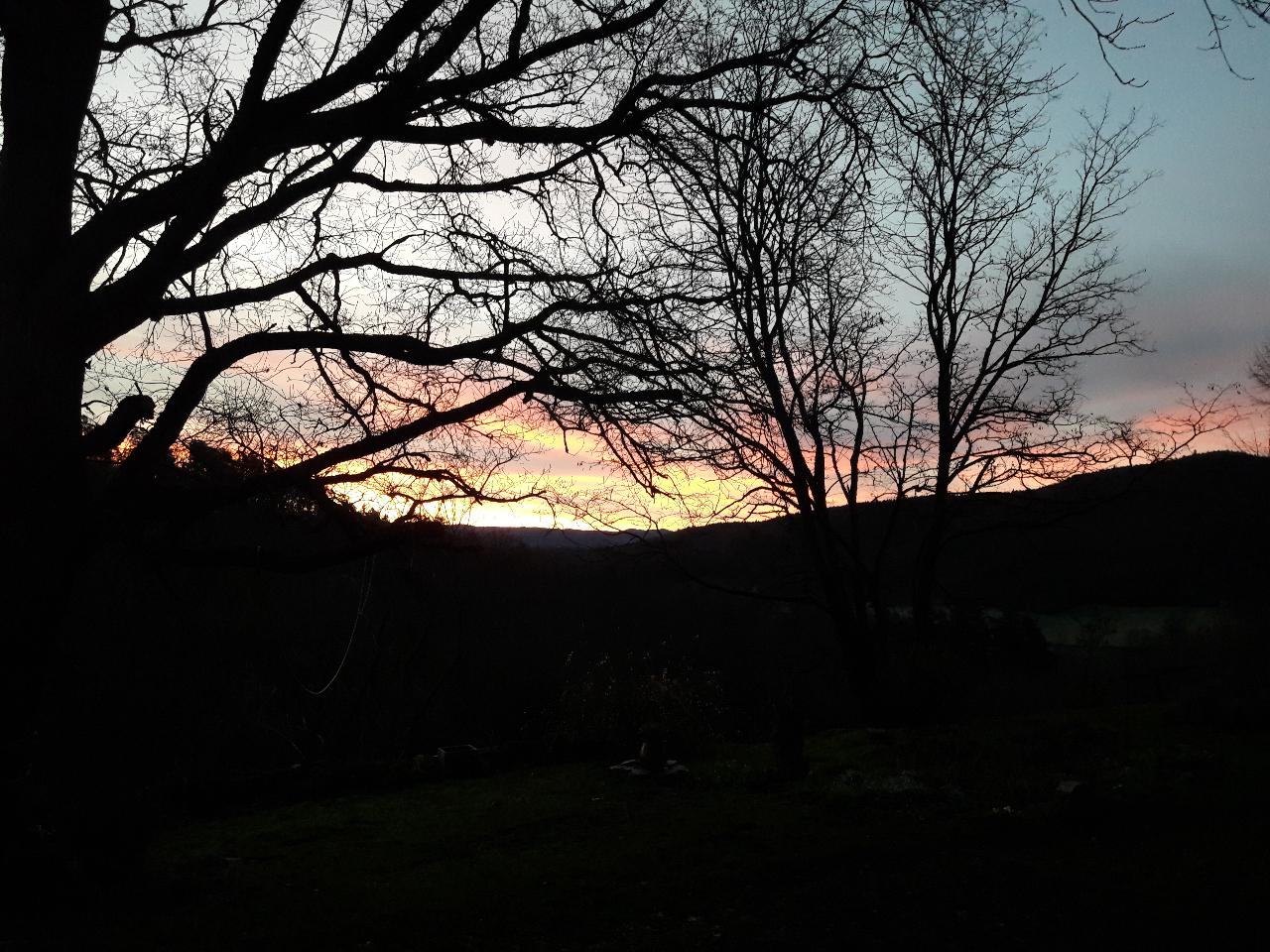 Carte cadeau GreenGo