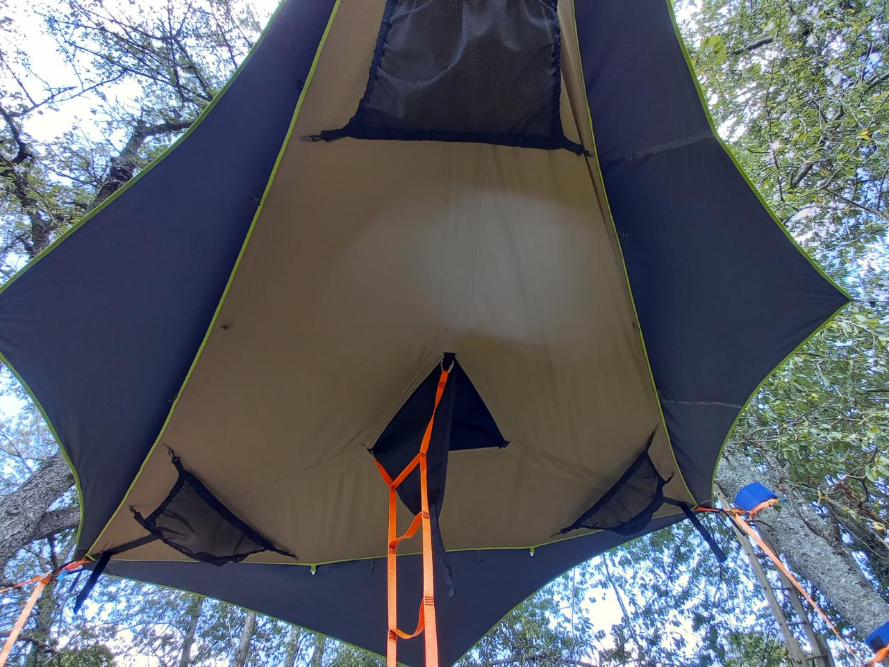Logement GreenGo: Bus soleil avec une tente dans les arbres et une tente cocoon - Image 5