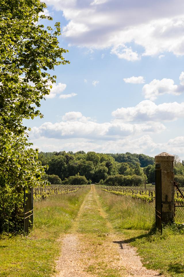 Hôte GreenGo: Domaine le Pinquat - Image 3