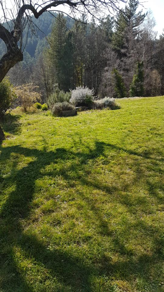 Location Gard À la campagne