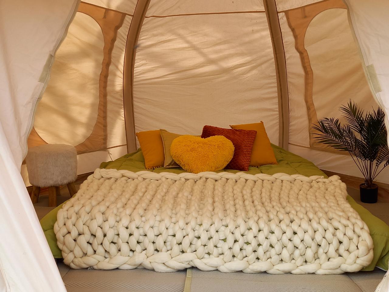 Logement GreenGo: Bus soleil avec une tente dans les arbres et une tente cocoon - Image 9