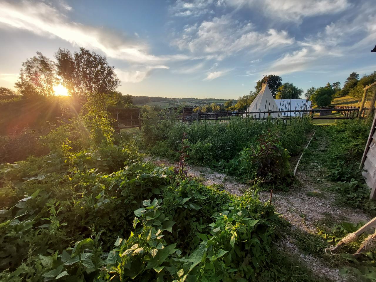 Hôte GreenGo: La P'tite ferme de la Vie, logement insolite au cœur de notre ferme vivrière (Meunier-Boulanger-Bio) - Image 16