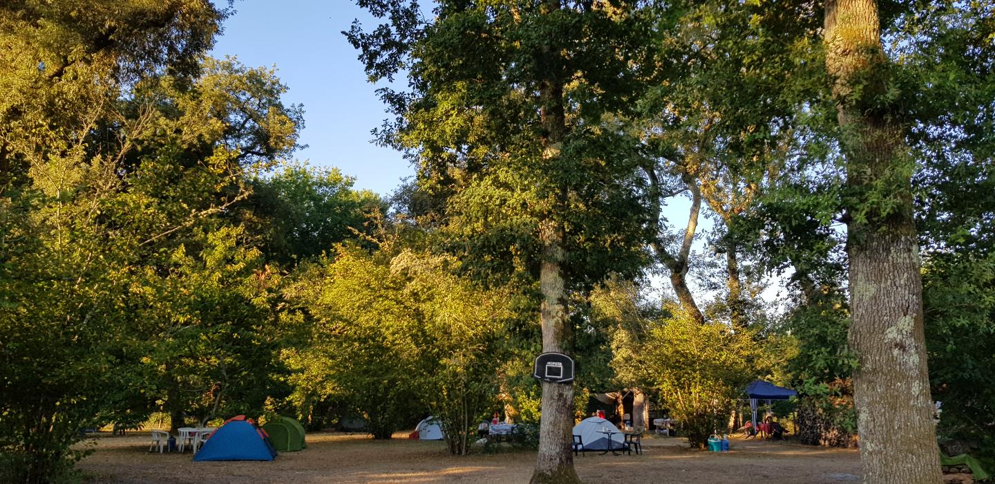 Logement GreenGo: Camping chez l'habitant déclaré