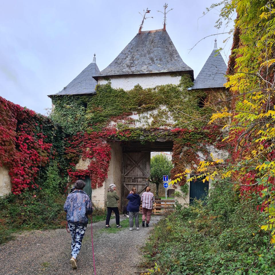 Hôte GreenGo: Château de Parançay - Image 13