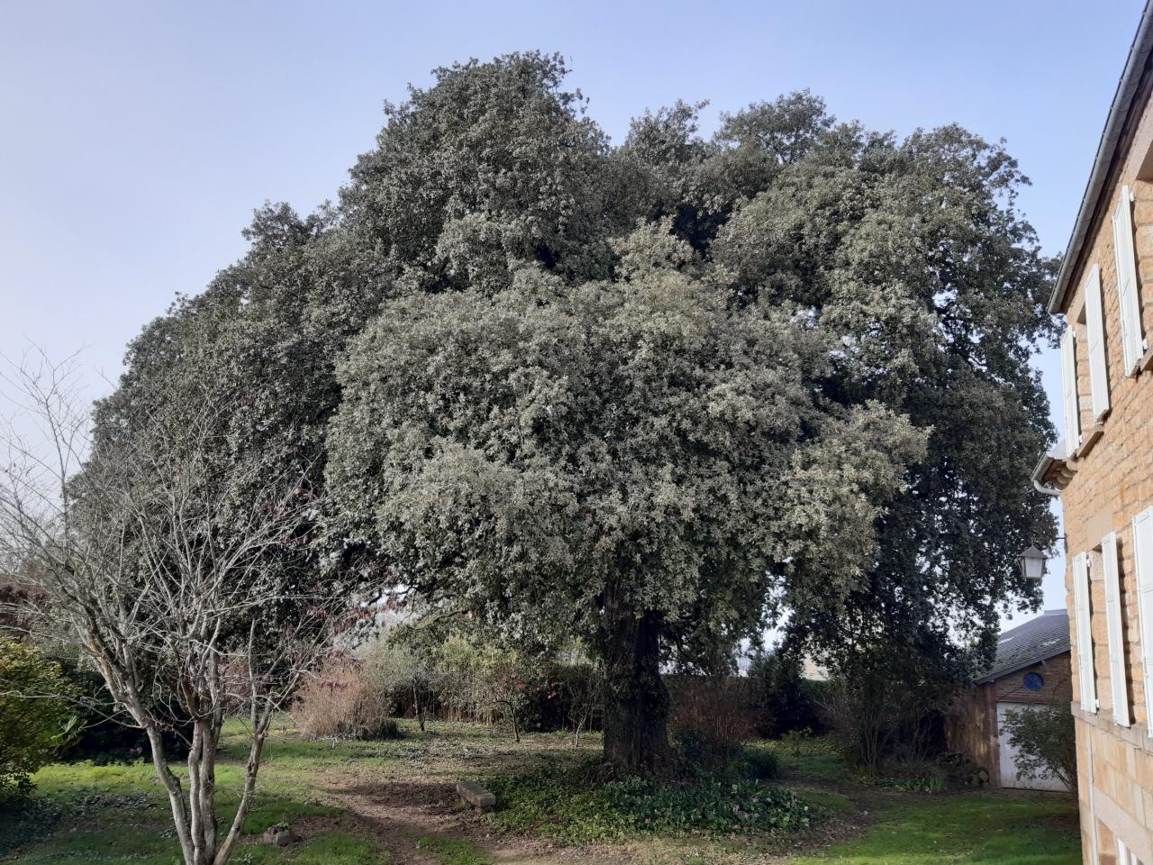 GreenGo Le Domaine de l'Yeuse